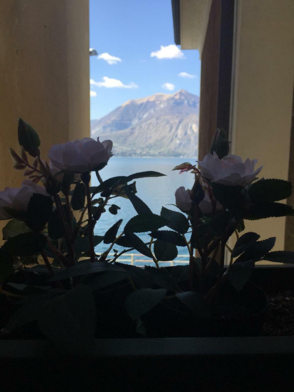 Cozy Garden Retrait Daire Varenna Dış mekan fotoğraf